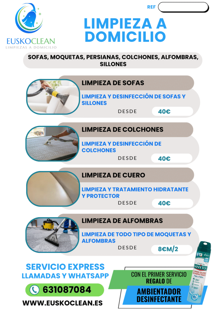 limpieza sofas bizkaia